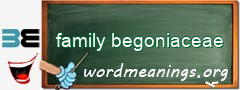 WordMeaning blackboard for family begoniaceae